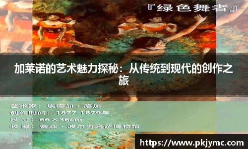 加莱诺的艺术魅力探秘：从传统到现代的创作之旅