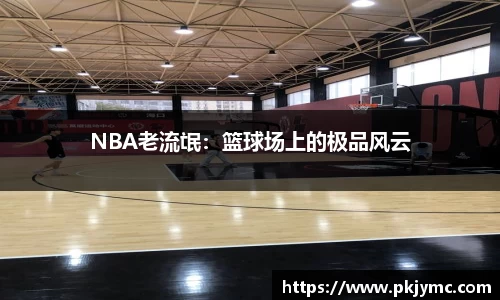 ylzzcom永利总站线路检测